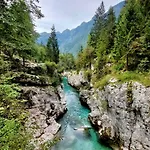 Mountain Rododendro * Tarvisio