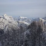 Mountain Rododendro *