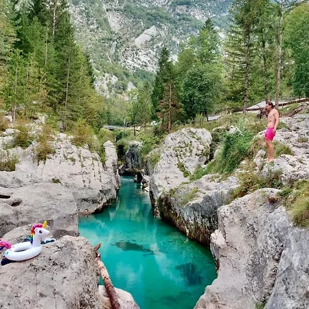 Mountain Rododendro Appartement *