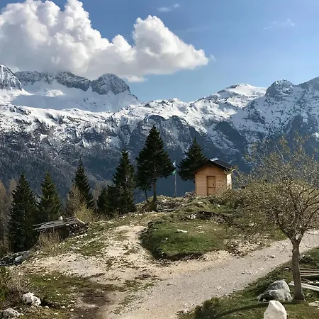 Apartmán Mountain Rododendro