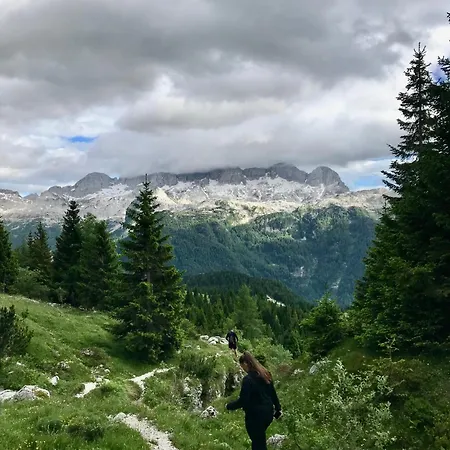 Mountain Rododendro Appartement Tarvisio