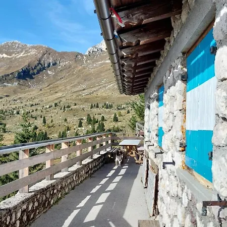 Mountain Rododendro *