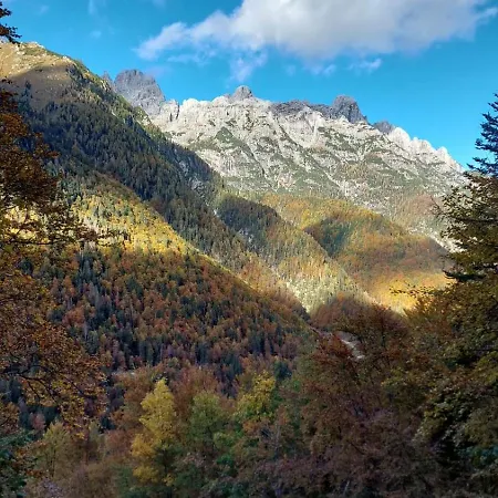 Appartement Mountain Rododendro