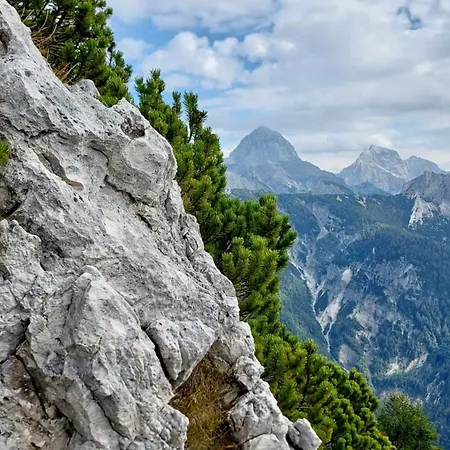 Appartement Mountain Rododendro