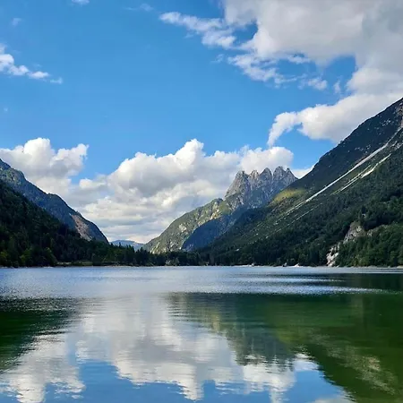 Mountain Rododendro * Tarvisio