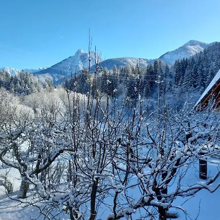 Mountain Rododendro * Tarvisio