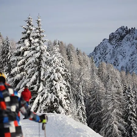 Mountain Rododendro * Tarvisio