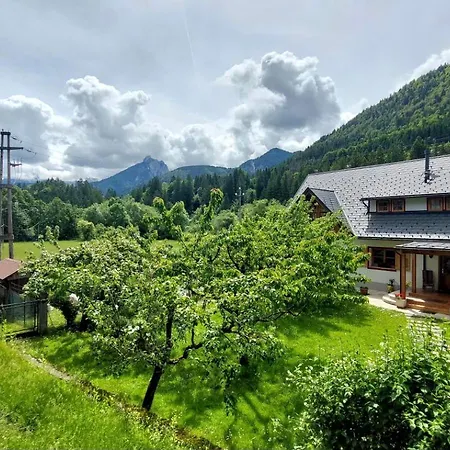 Mountain Rododendro * Tarvisio