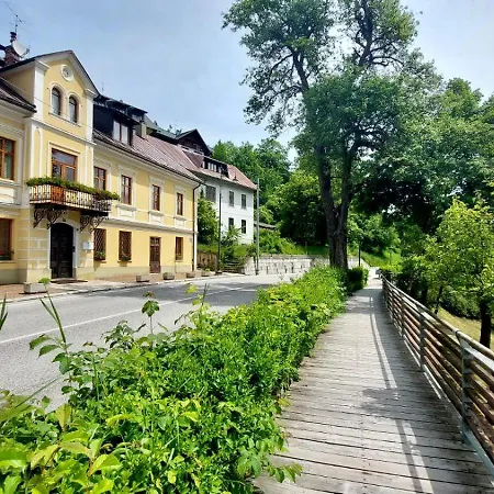Mountain Rododendro Tarvisio